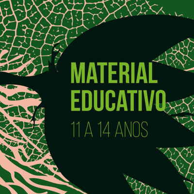 Capa de material educativo 11 a 14 anos com ilustração de folhagem em tons de verde, preto e cor de rosa e texto Fruturos Tempos Amazônicos.