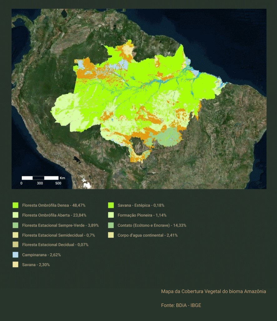 Estudo mostra que as é o estado com maior área de terras públicas  'sem destinação' na Amazônia Legal, as